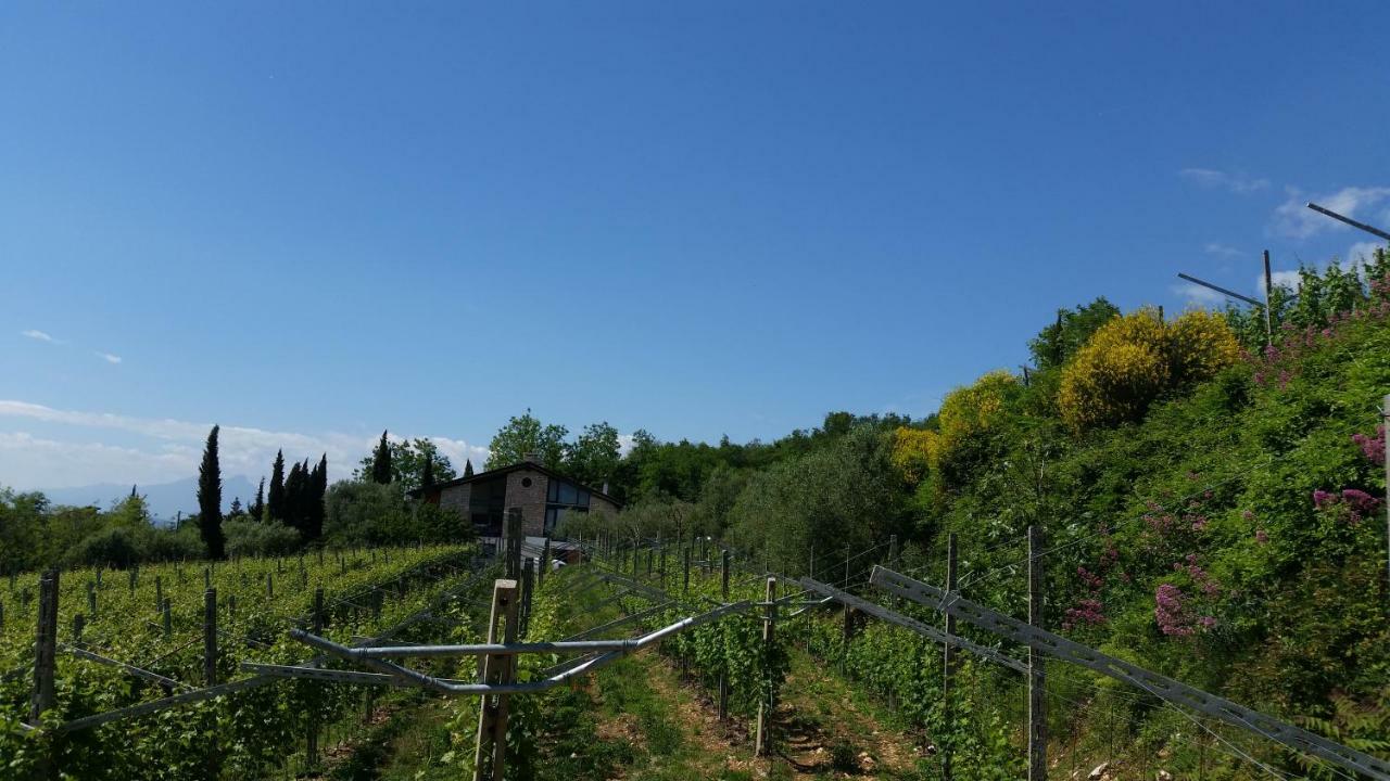 "Cortela" Appartameni In Villetta Singola SantʼAmbrogio di Valpolicella Eksteriør bilde