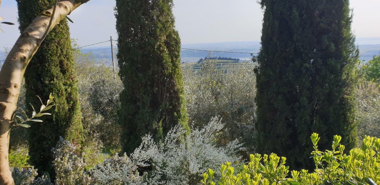 "Cortela" Appartameni In Villetta Singola SantʼAmbrogio di Valpolicella Eksteriør bilde