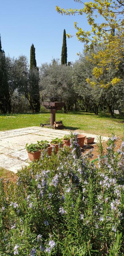 "Cortela" Appartameni In Villetta Singola SantʼAmbrogio di Valpolicella Eksteriør bilde
