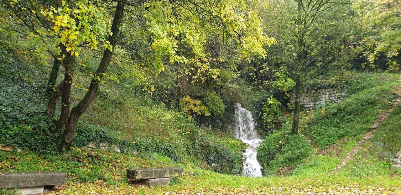 "Cortela" Appartameni In Villetta Singola SantʼAmbrogio di Valpolicella Eksteriør bilde